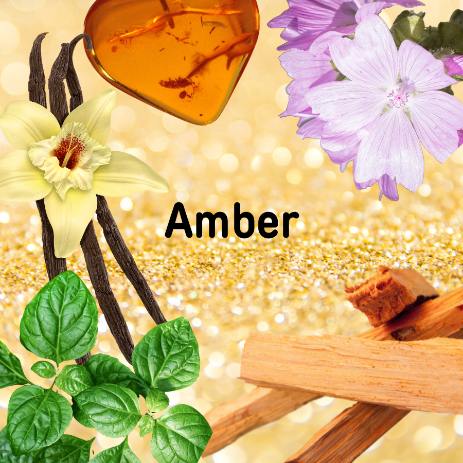Amber Body Lotion